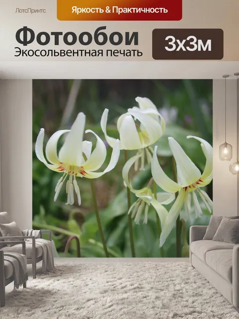 Фотообои Цветы