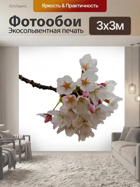 Фотообои Cherry Blossom цветы