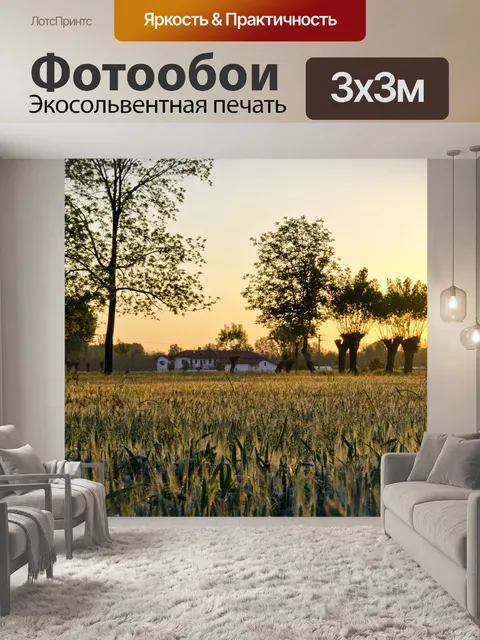 Фотообои Рассвет
