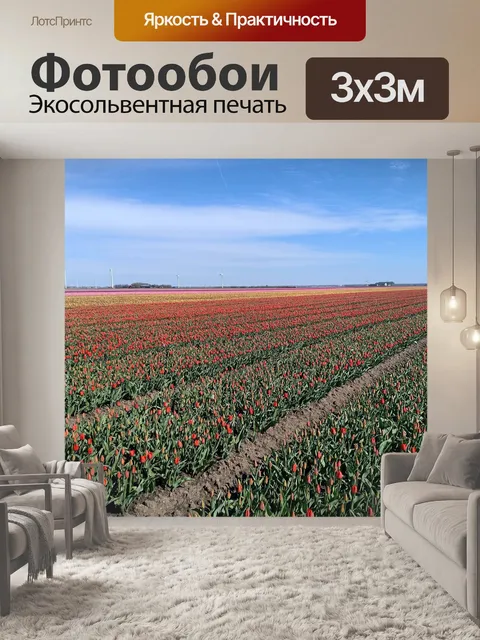 Фотообои Тюльпаны