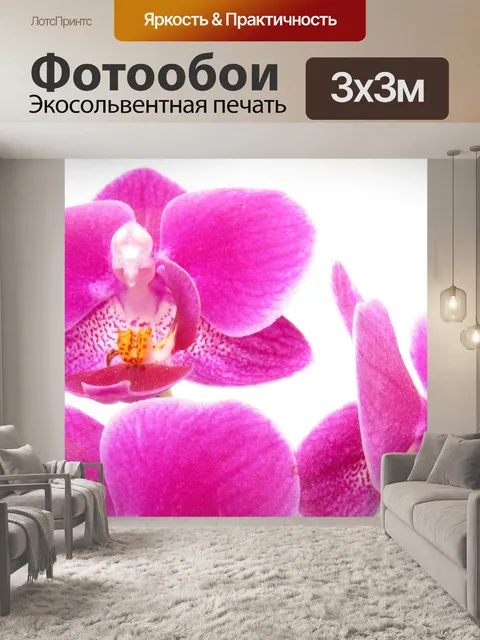 Фотообои Орхидея