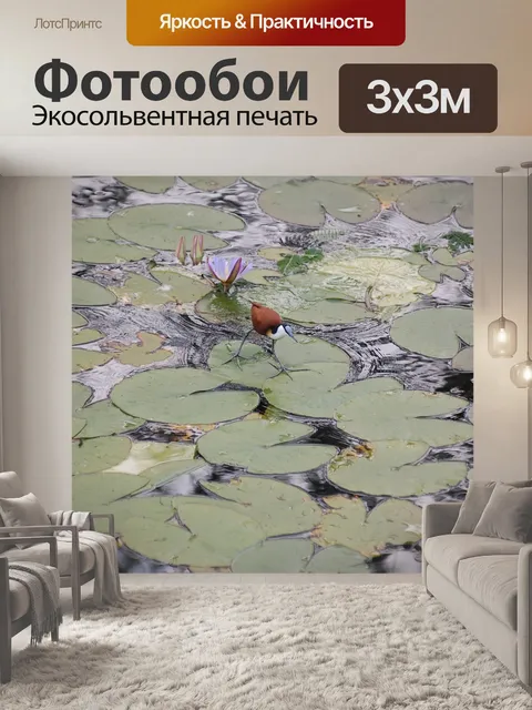 Фотообои Птица