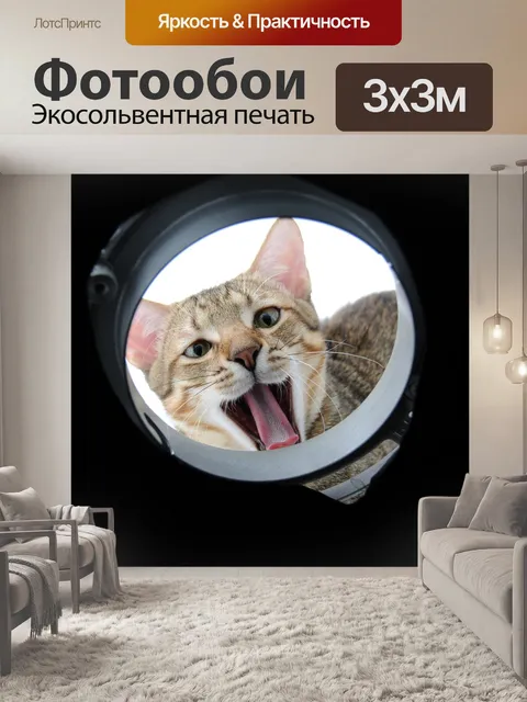 Фотообои Кошка