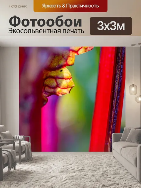 Фотообои Природа