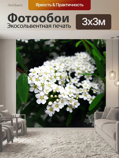 Фотообои Цветок