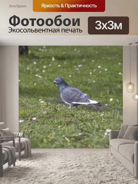 Фотообои Животное