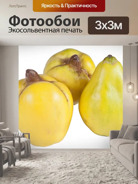 Фотообои Quince
