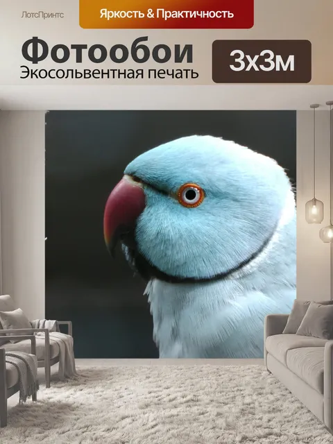 Фотообои Индийская кольцо шеи Parrot