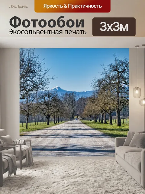Фотообои Дорога