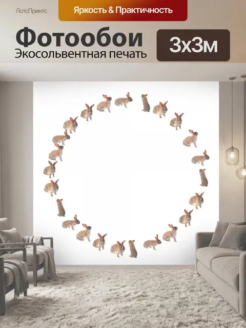 Фотообои Кролик Круг
