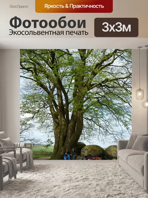 Фотообои Велоспорт