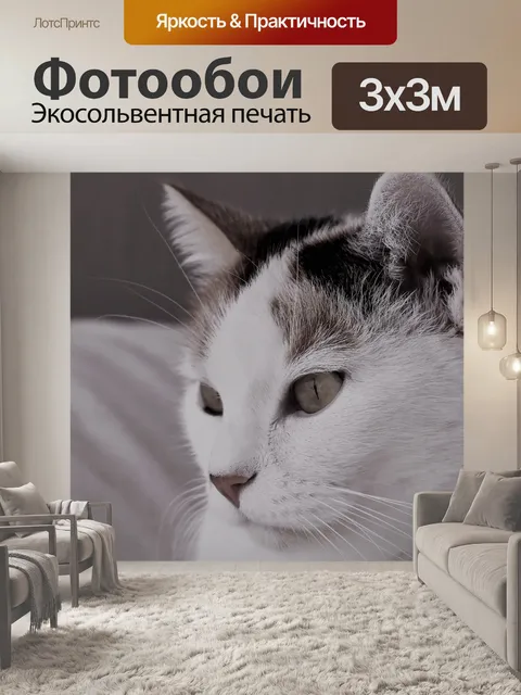 Фотообои Кот