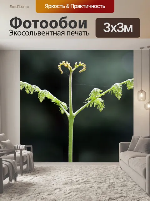 Фотообои Папоротник
