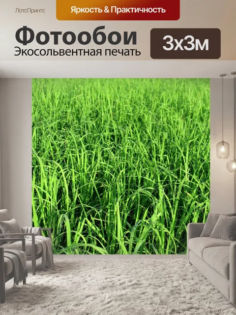 Фотообои Зеленое рисовое поле