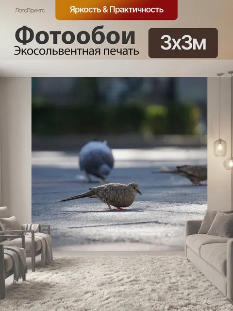 Фотообои Птицы