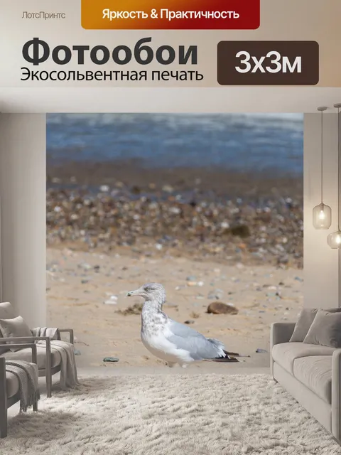 Фотообои Чайка на пляже