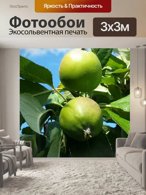 Фотообои Дерево