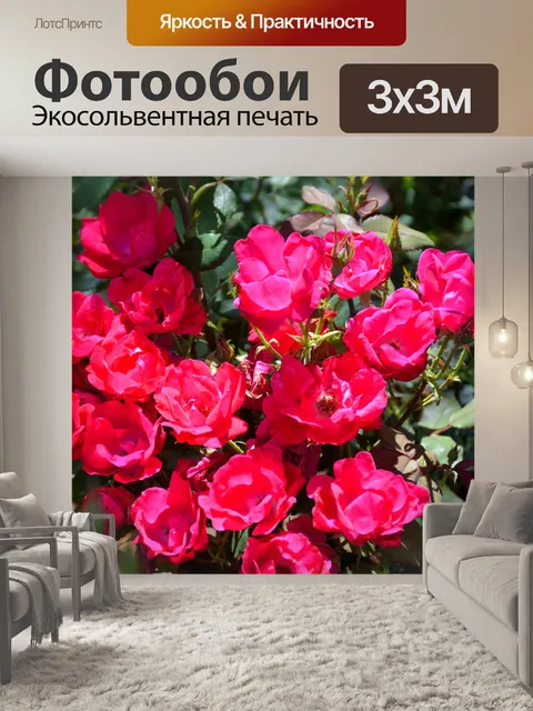 Фотообои Красные Розы