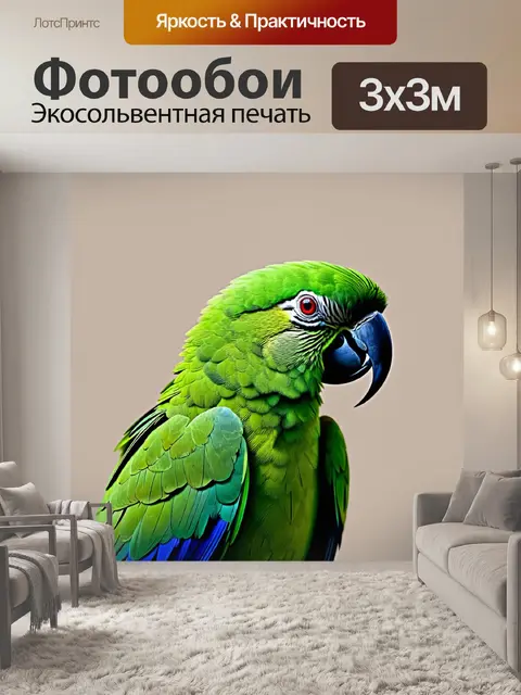 Фотообои животные в стиле минимализм с контрастной графикой попугая на нейтральном фоне