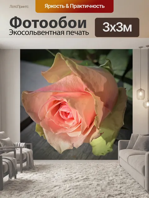 Фотообои Благородная роза