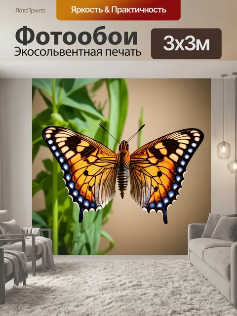 Фотообои бабочки