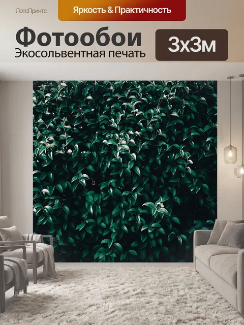 Фотообои Фон