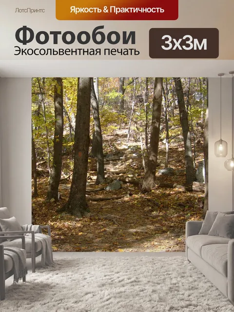 Фотообои Trail