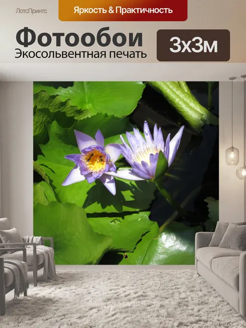 Фотообои Тень