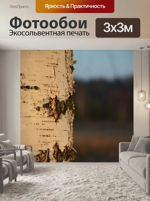 Фотообои Берёза