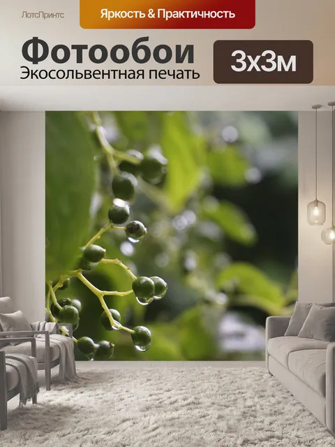 Фотообои Листья