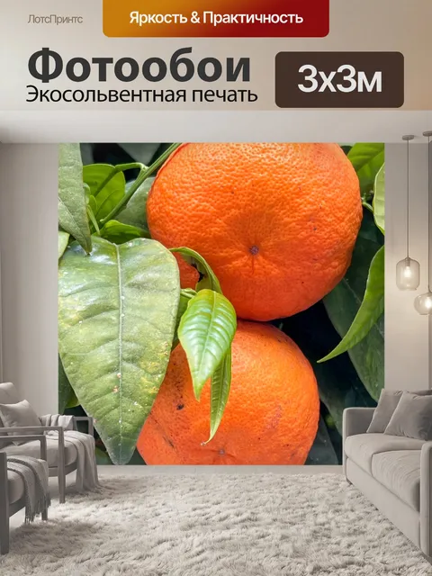 Фотообои Апельсины на дереве