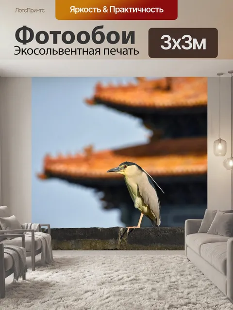 Фотообои Стена
