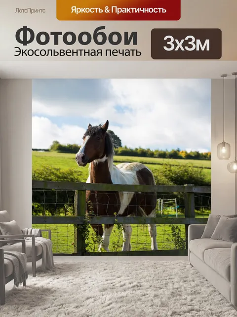 Фотообои лошадь