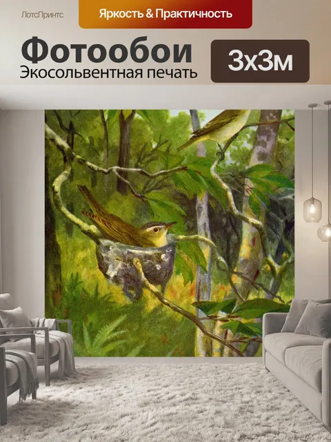 Фотообои Красноглазая Виреон Птица Живопись