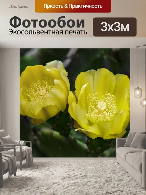 Фотообои Цветы