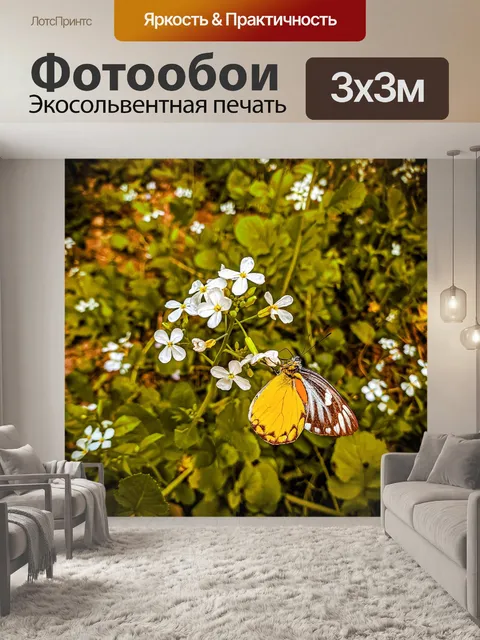 Фотообои Бабочка