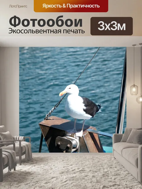 Фотообои Чайка на лодке