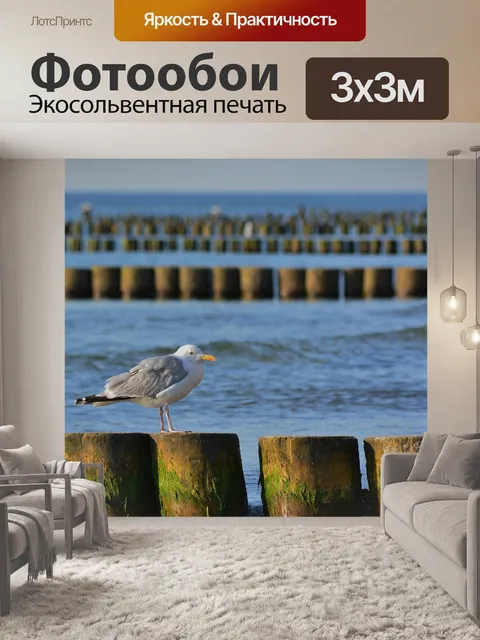Фотообои Чайка
