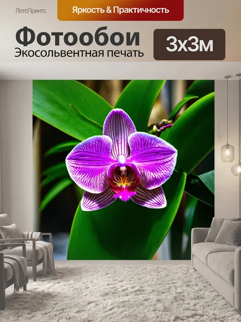 Фотообои орхидея, обрамленная зубчатыми листьями, создающими контраст
