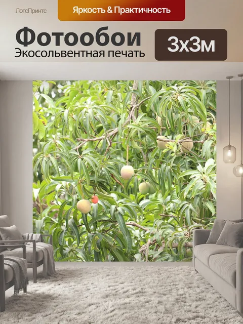 Фотообои Манго