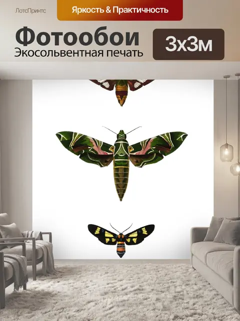 Фотообои Бабочки мотылек винтажное искусство