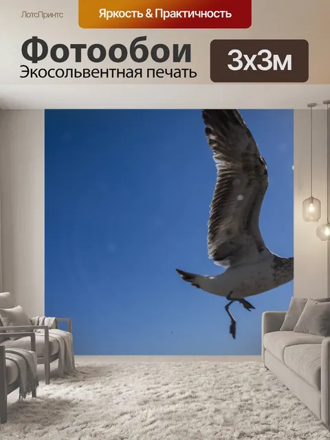 Фотообои Seagull Landing