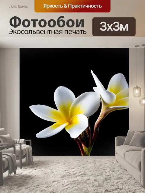 Фотообои Цвести