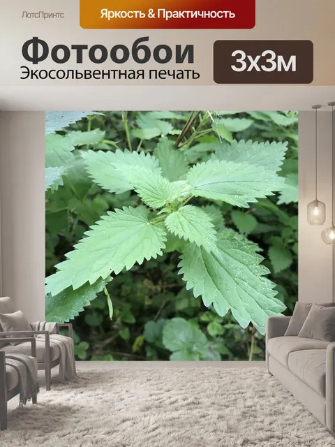 Фотообои Цветок