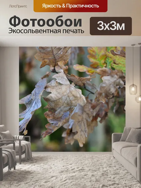 Фотообои Листья