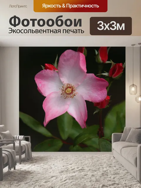 Фотообои Розовые и белые розы старому стилю цвету