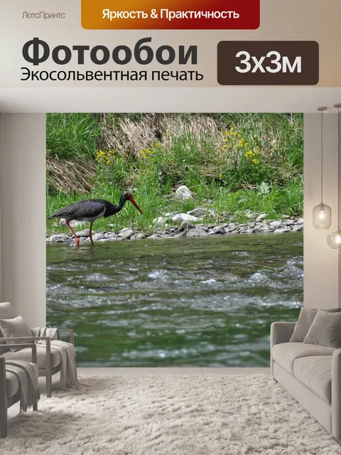 Фотообои Черный аист