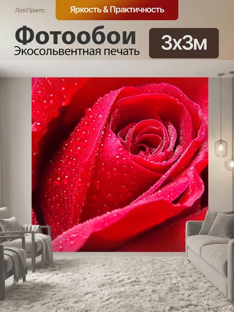 Фотообои Роза
