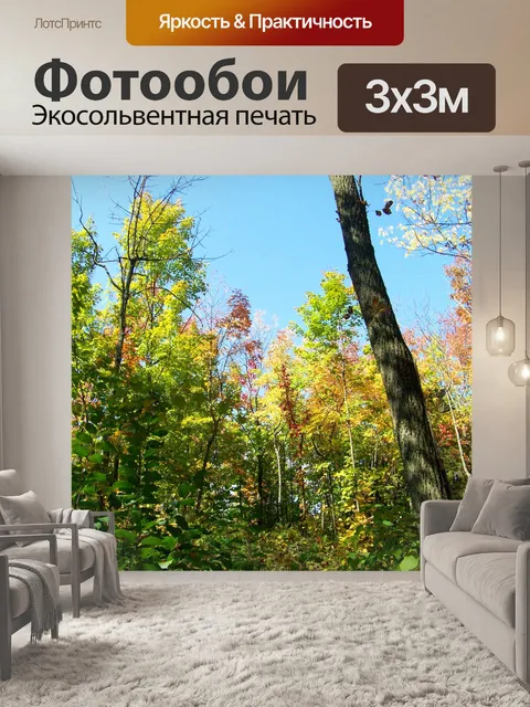 Фотообои Осенние деревья