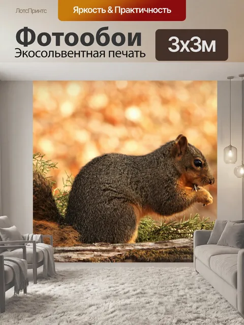 Фотообои Фокс Белка и Золотой Боке